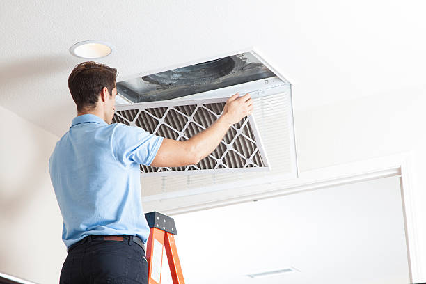 Best Energy-efficient HVAC Solutions in Cayce, SC